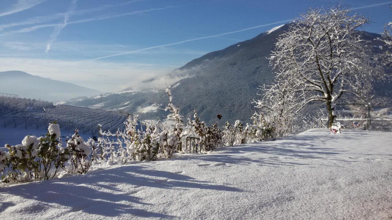 Trinnerhof- Hof Chalets Und Obsthof Mit Zimmer Natz-Schabs المظهر الخارجي الصورة